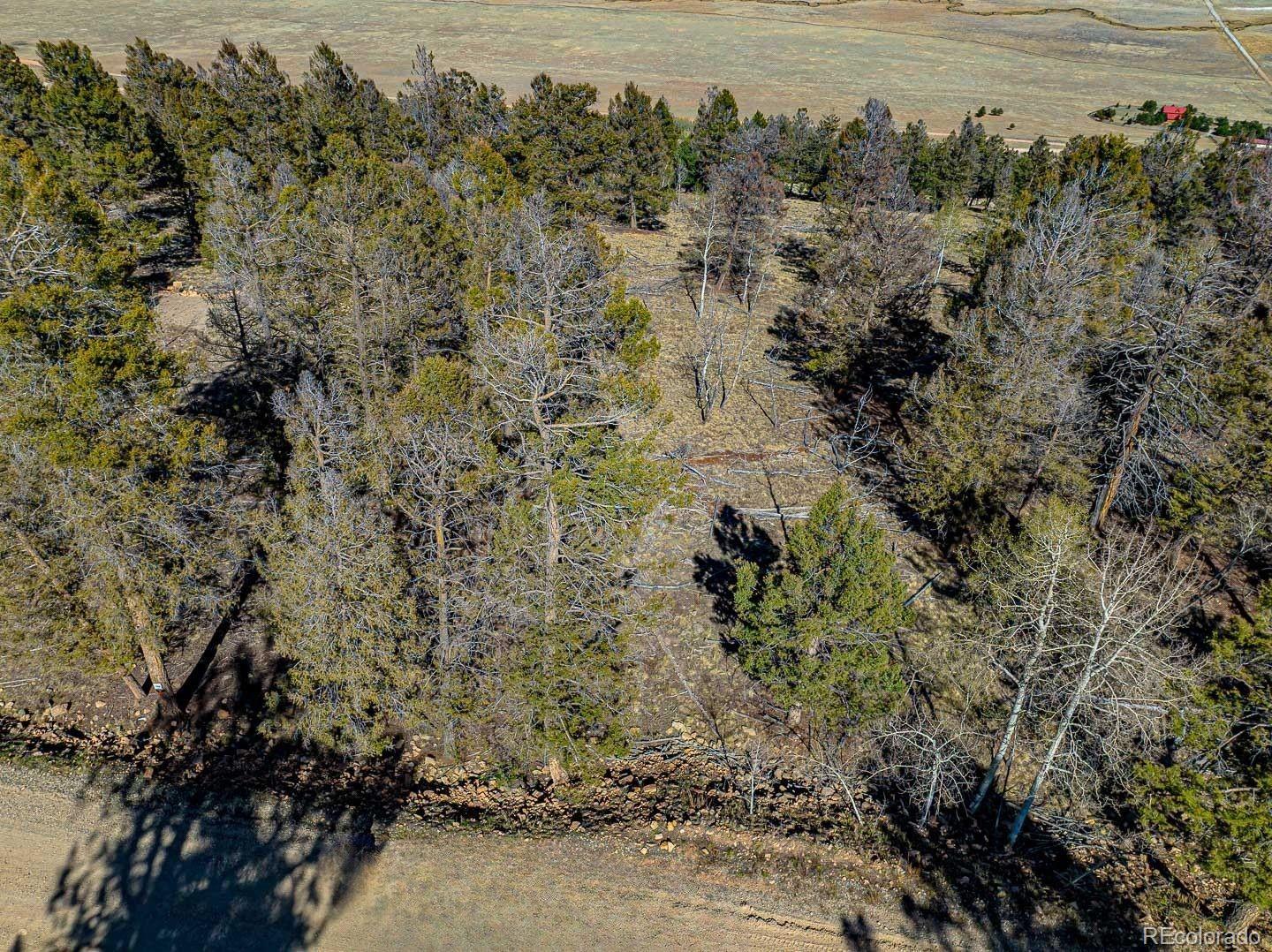 5302 Middle Fork Vista Fairplay CO 80440