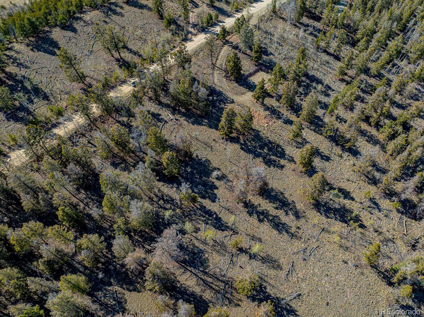5302 Middle Fork Vista Fairplay CO 80440
