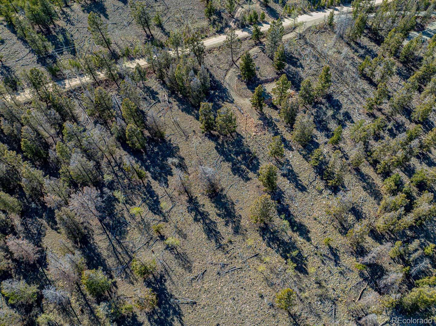 5302 Middle Fork Vista Fairplay CO 80440