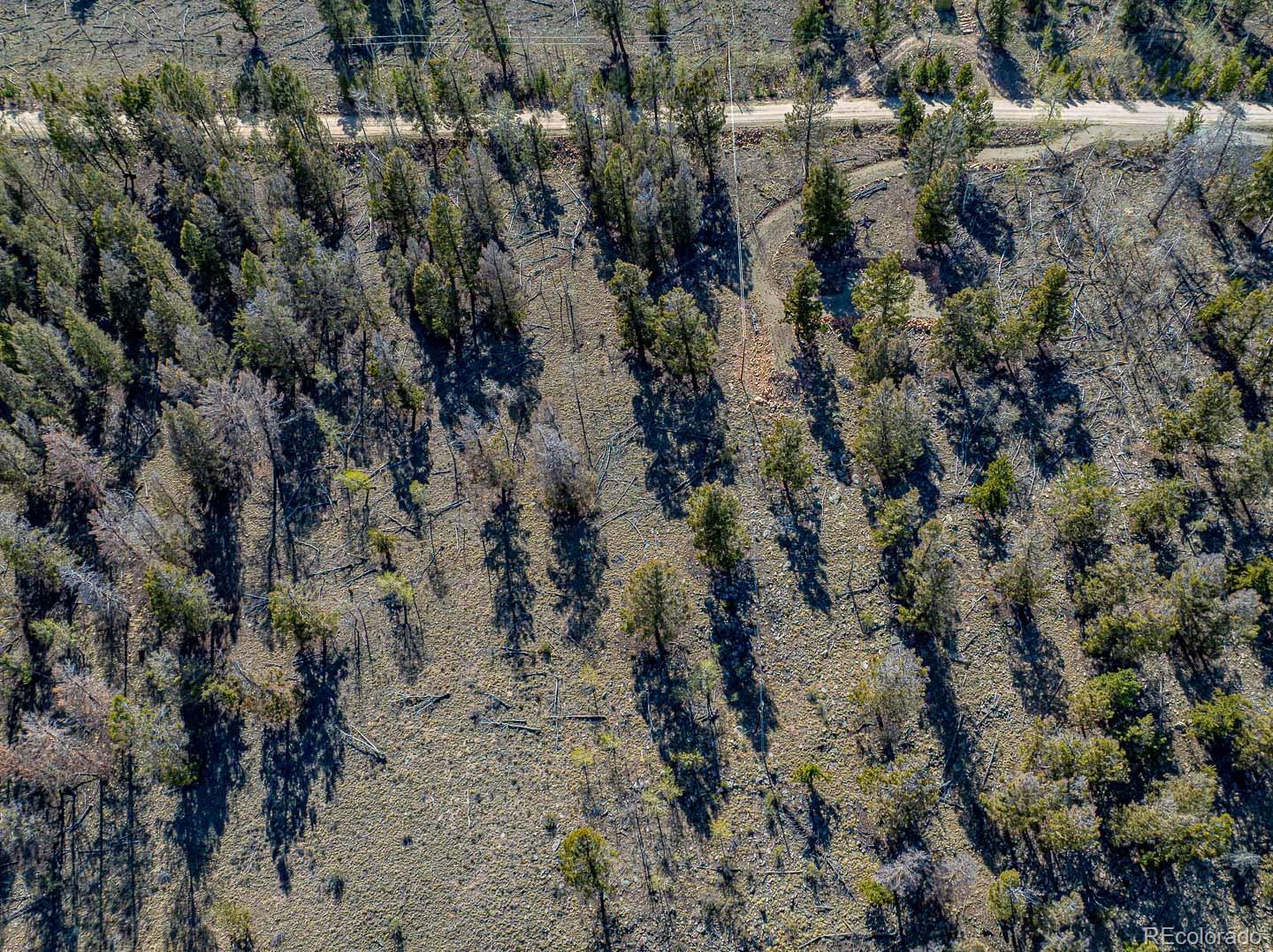 5302 Middle Fork Vista Fairplay CO 80440
