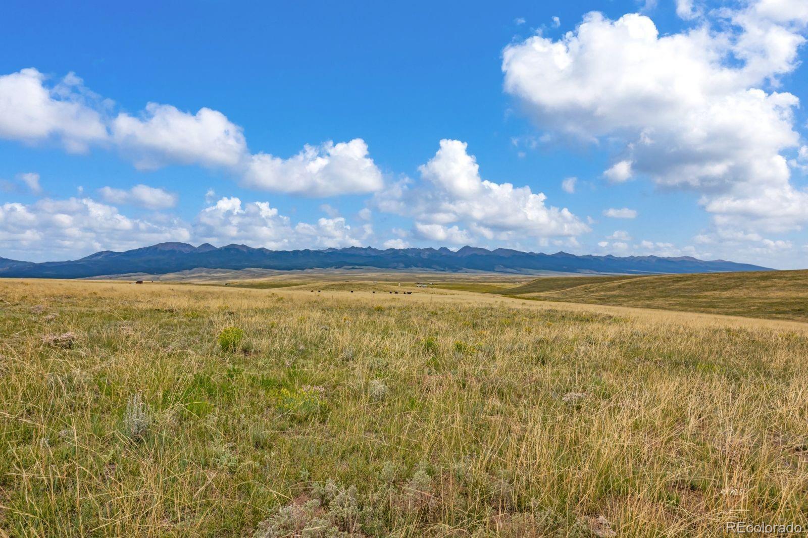 2015 Kit Carson Road Westcliffe CO 81252
