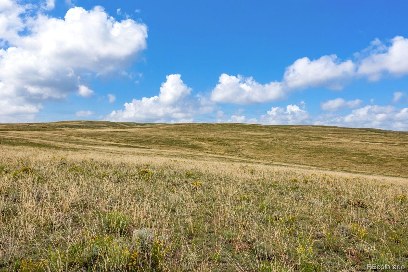 2015 Kit Carson Road Westcliffe CO 81252