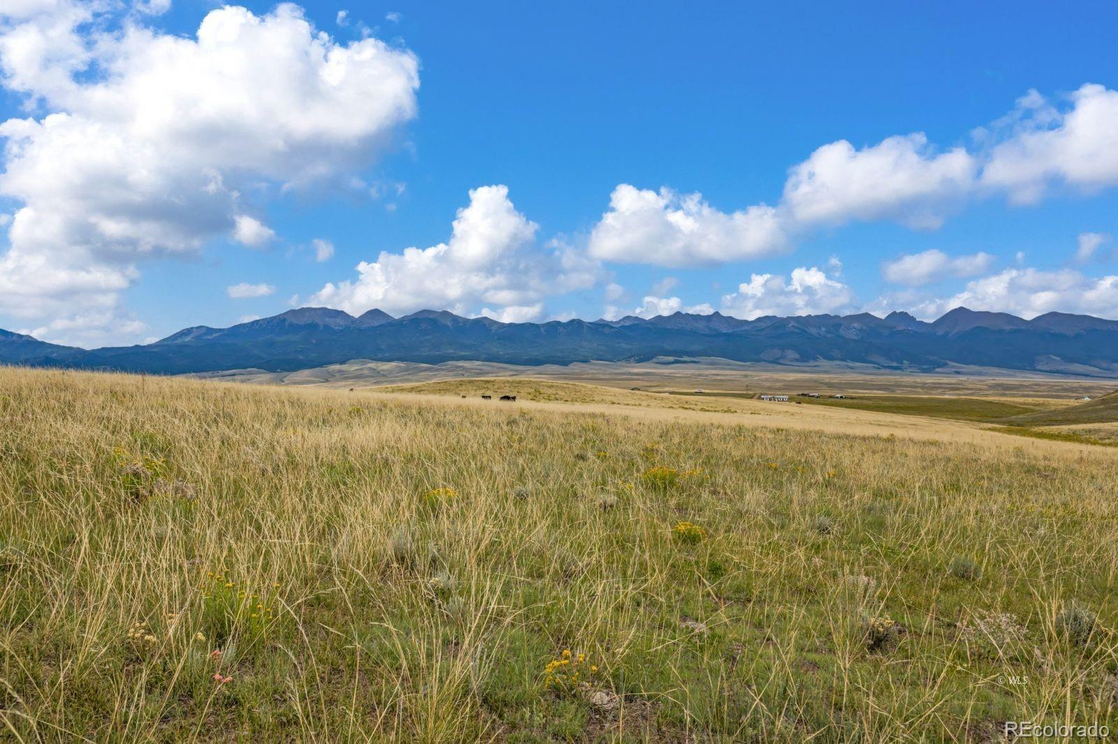 2015 Kit Carson Road Westcliffe CO 81252