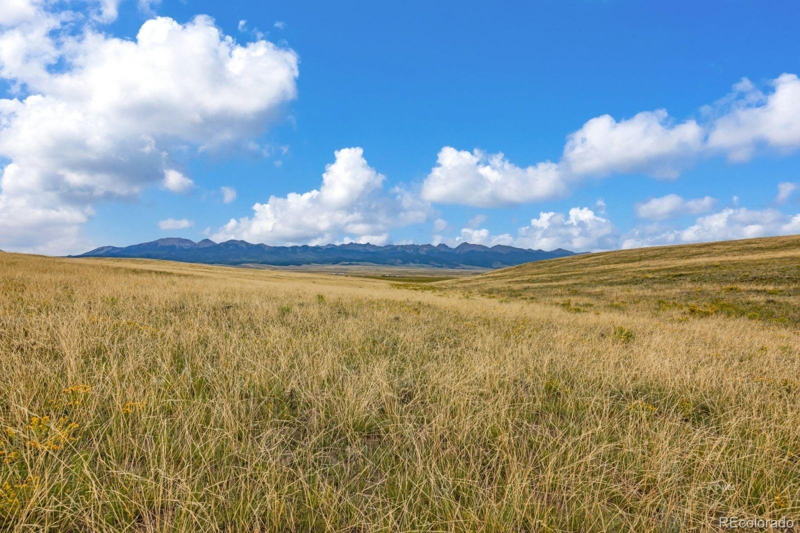 2015 Kit Carson Road Westcliffe CO 81252