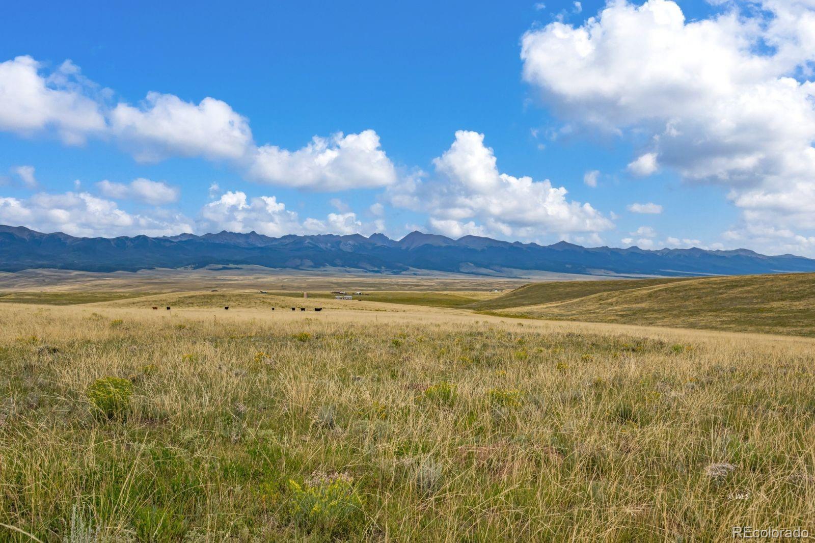 2015 Kit Carson Road Westcliffe CO 81252