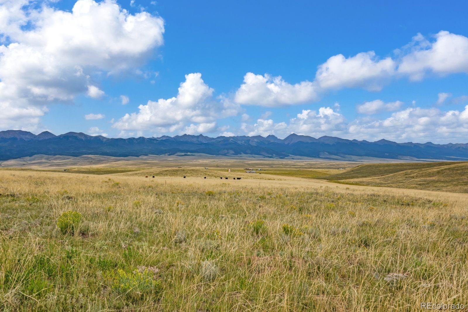 2015 Kit Carson Road Westcliffe CO 81252