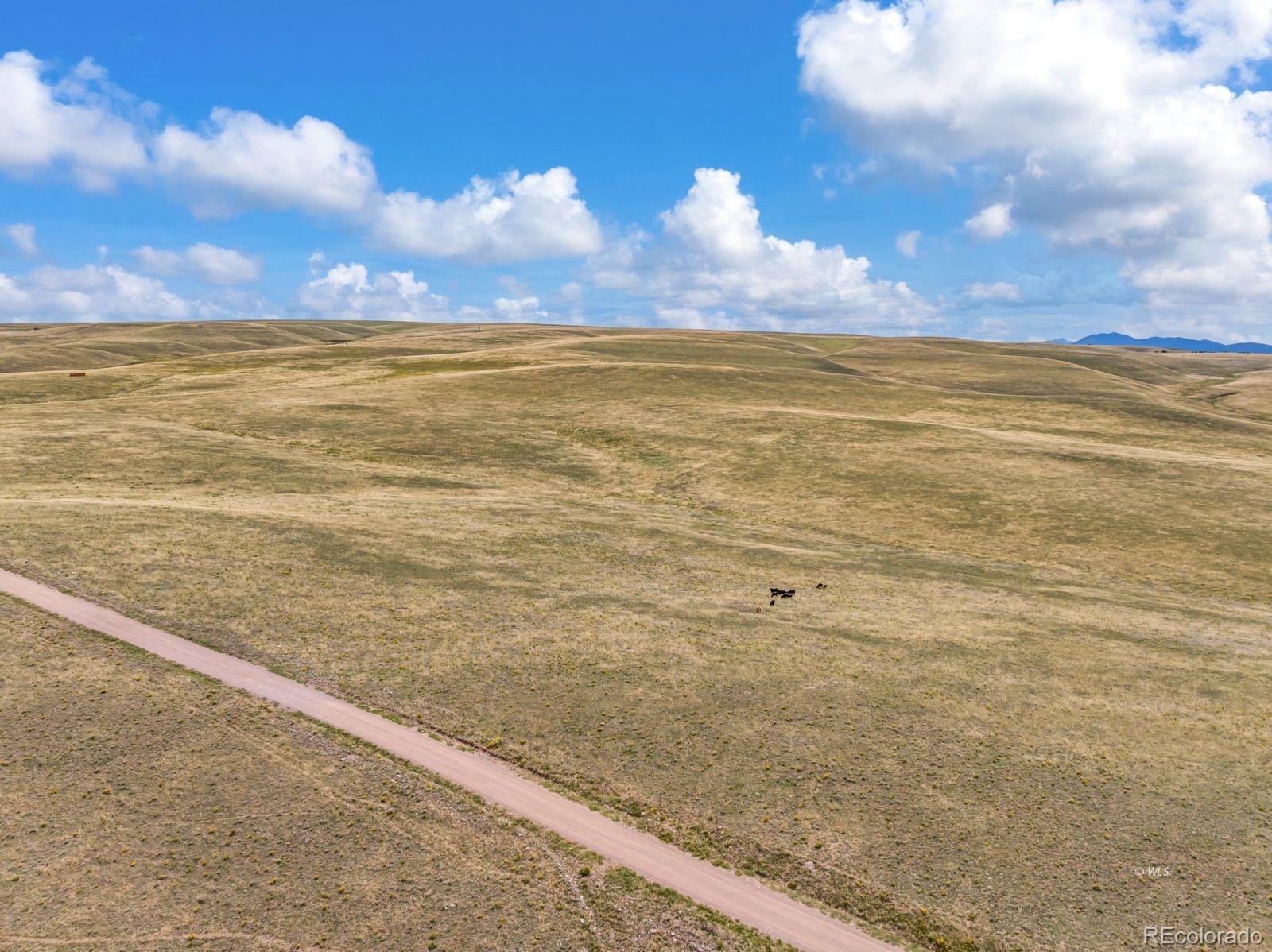 2015 Kit Carson Road Westcliffe CO 81252