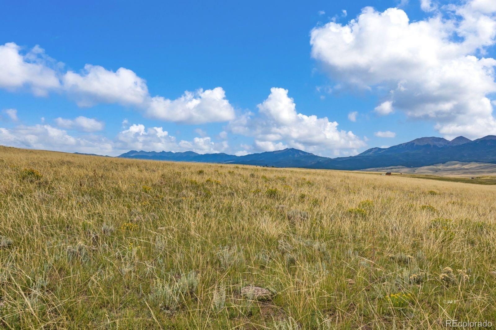 2015 Kit Carson Road Westcliffe CO 81252