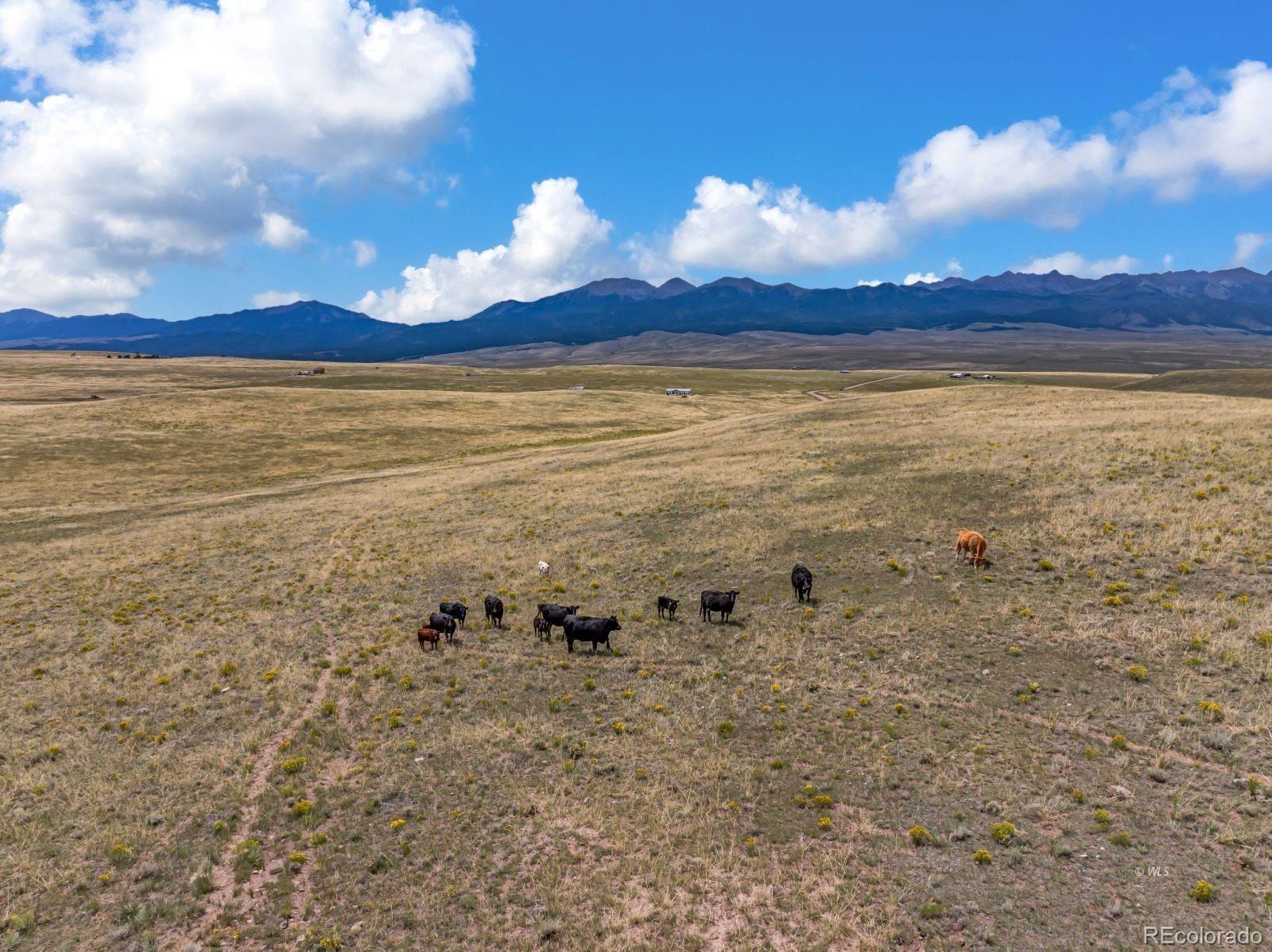 2015 Kit Carson Road Westcliffe CO 81252