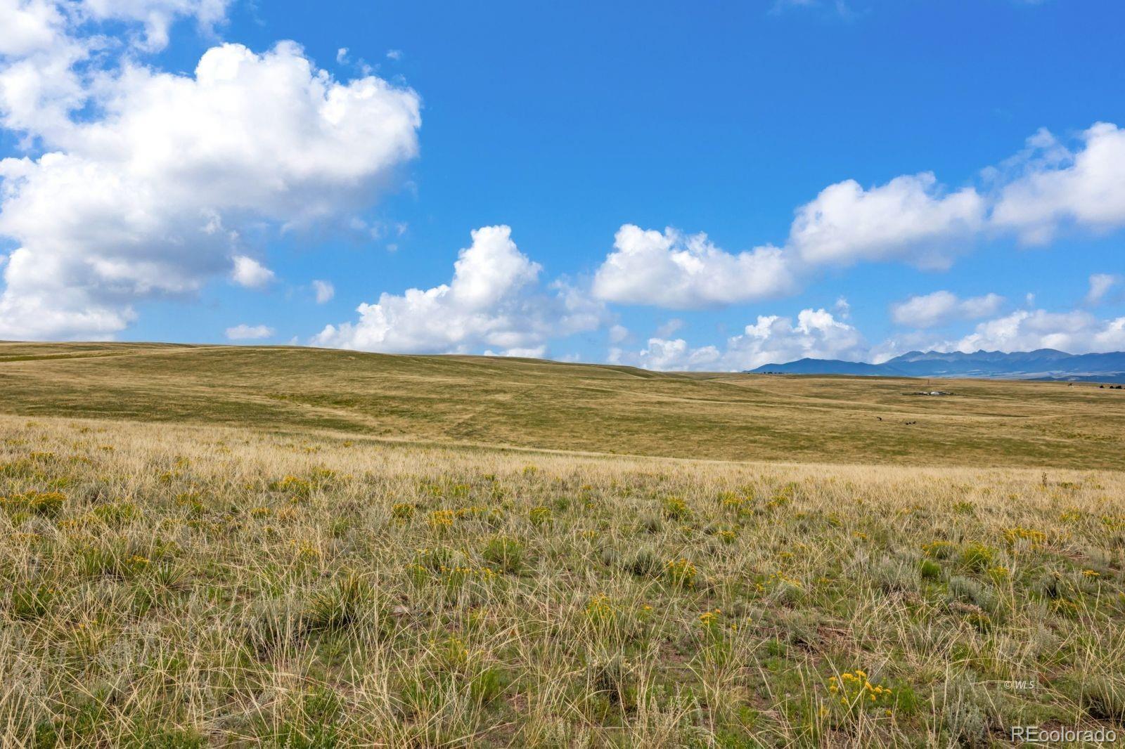 2015 Kit Carson Road Westcliffe CO 81252