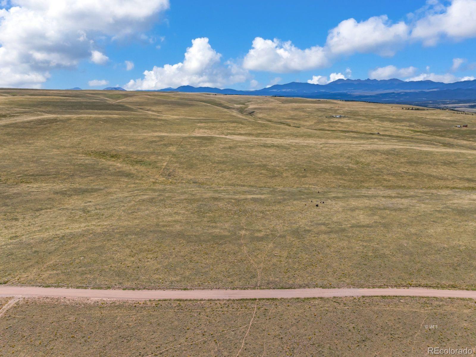 2015 Kit Carson Road Westcliffe CO 81252