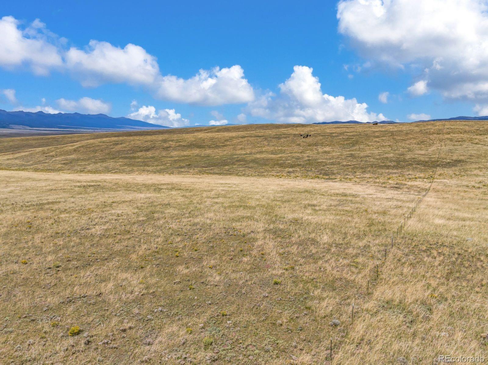 2015 Kit Carson Road Westcliffe CO 81252