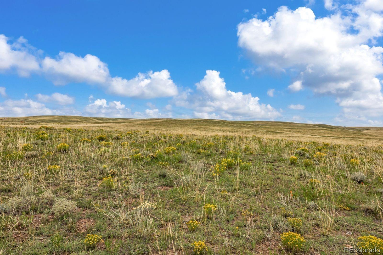 2015 Kit Carson Road Westcliffe CO 81252
