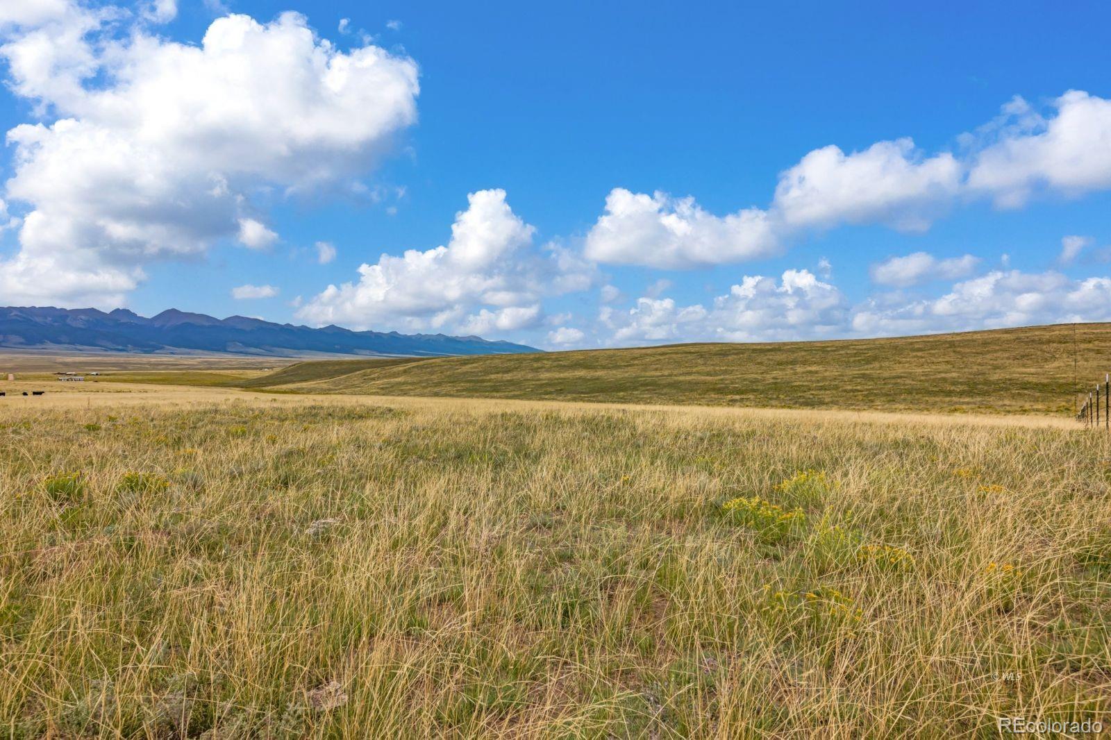 2015 Kit Carson Road Westcliffe CO 81252