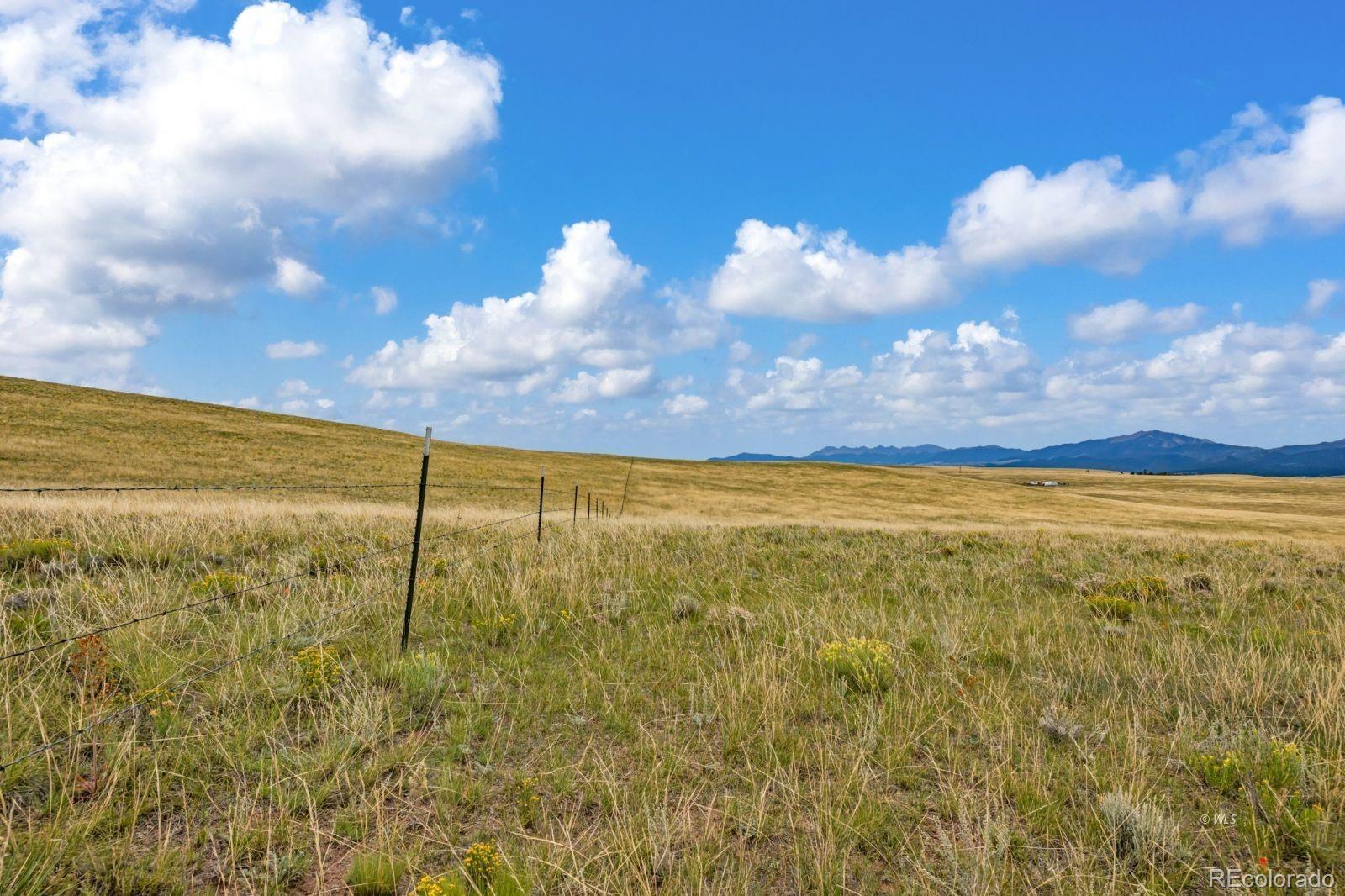 2015 Kit Carson Road Westcliffe CO 81252