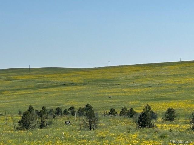 24105 State Highway 86 Ramah CO 80832