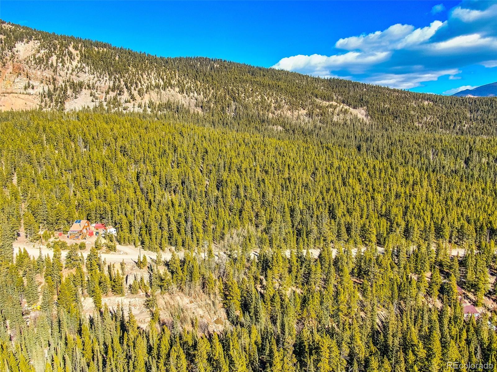 2167 Buckskin Road Alma CO 80420