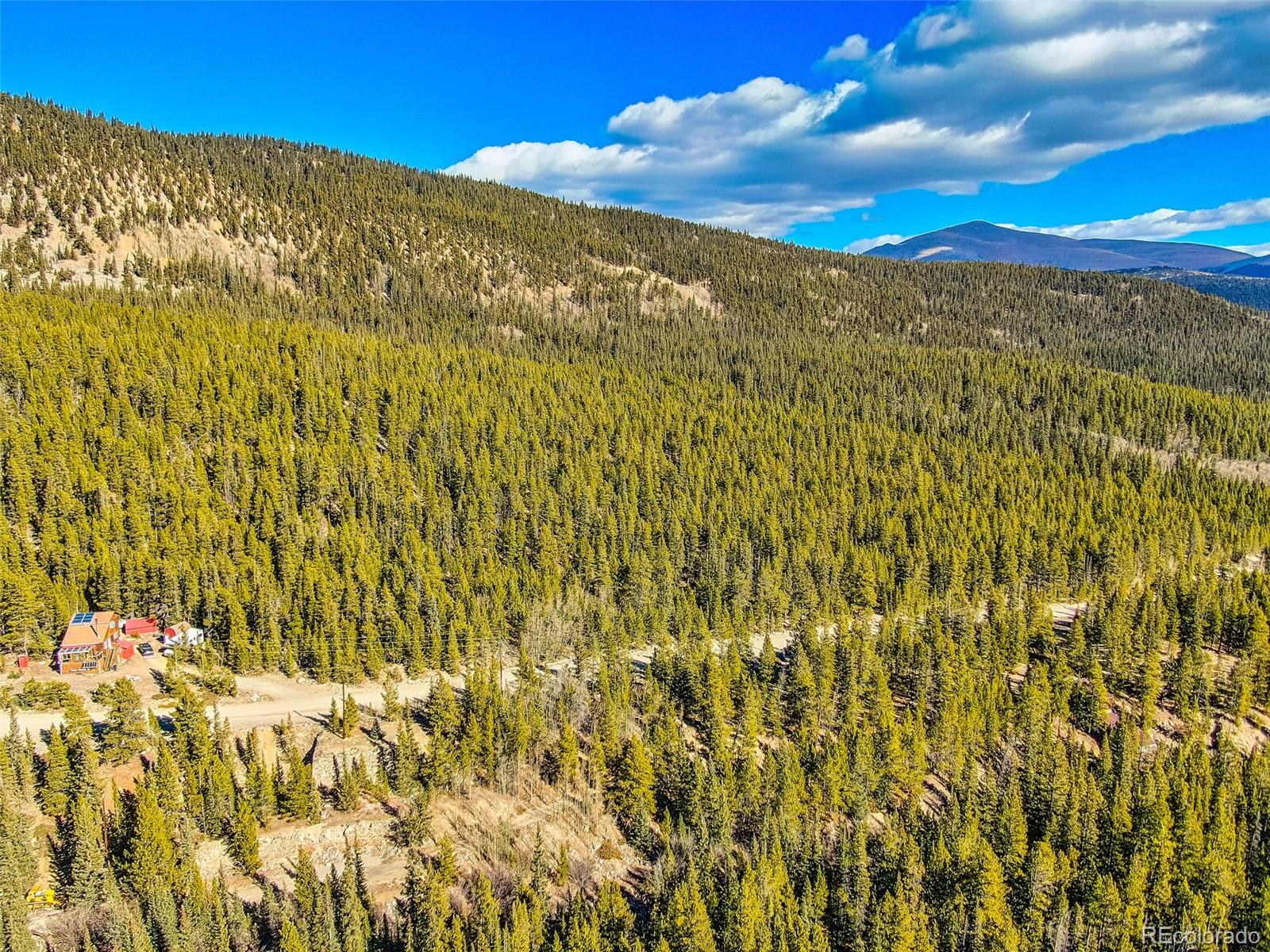 2167 Buckskin Road Alma CO 80420