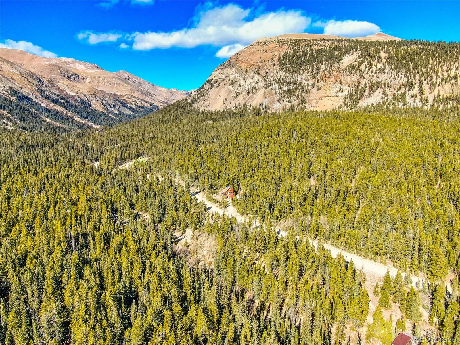 2167 Buckskin Road Alma CO 80420
