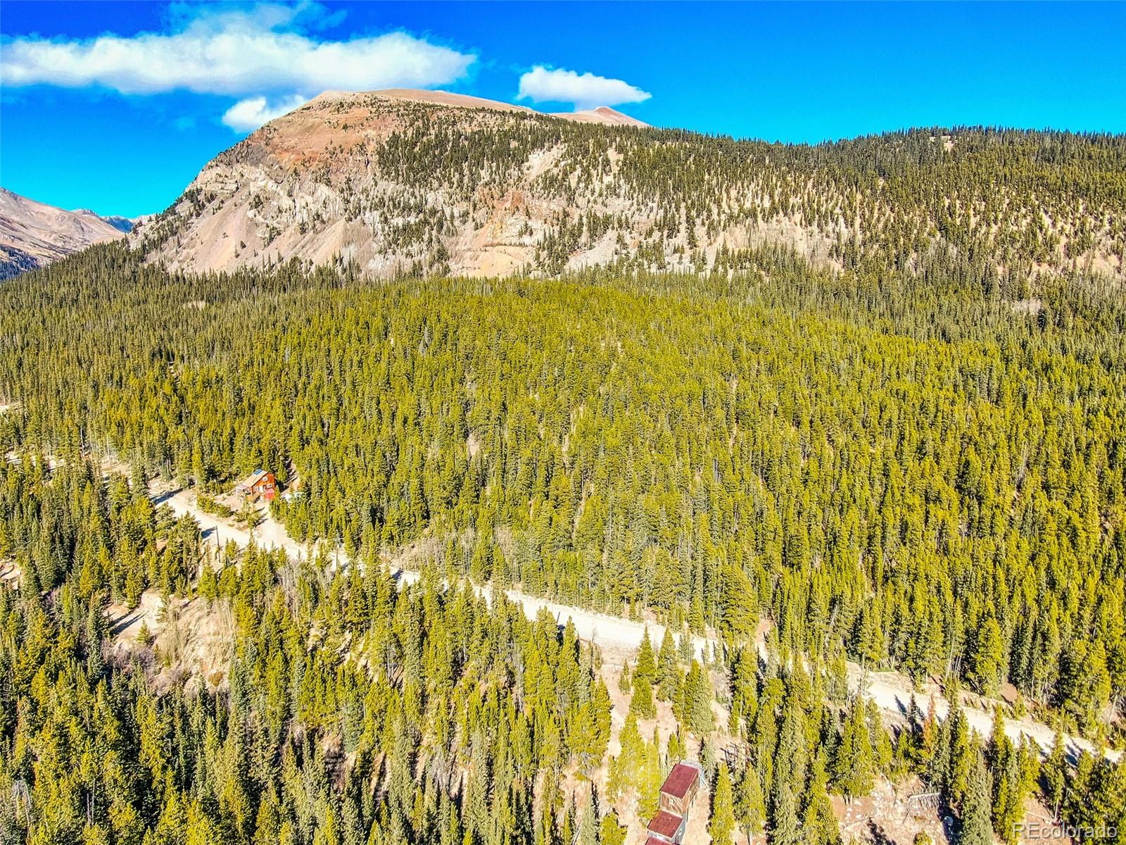 2167 Buckskin Road Alma CO 80420
