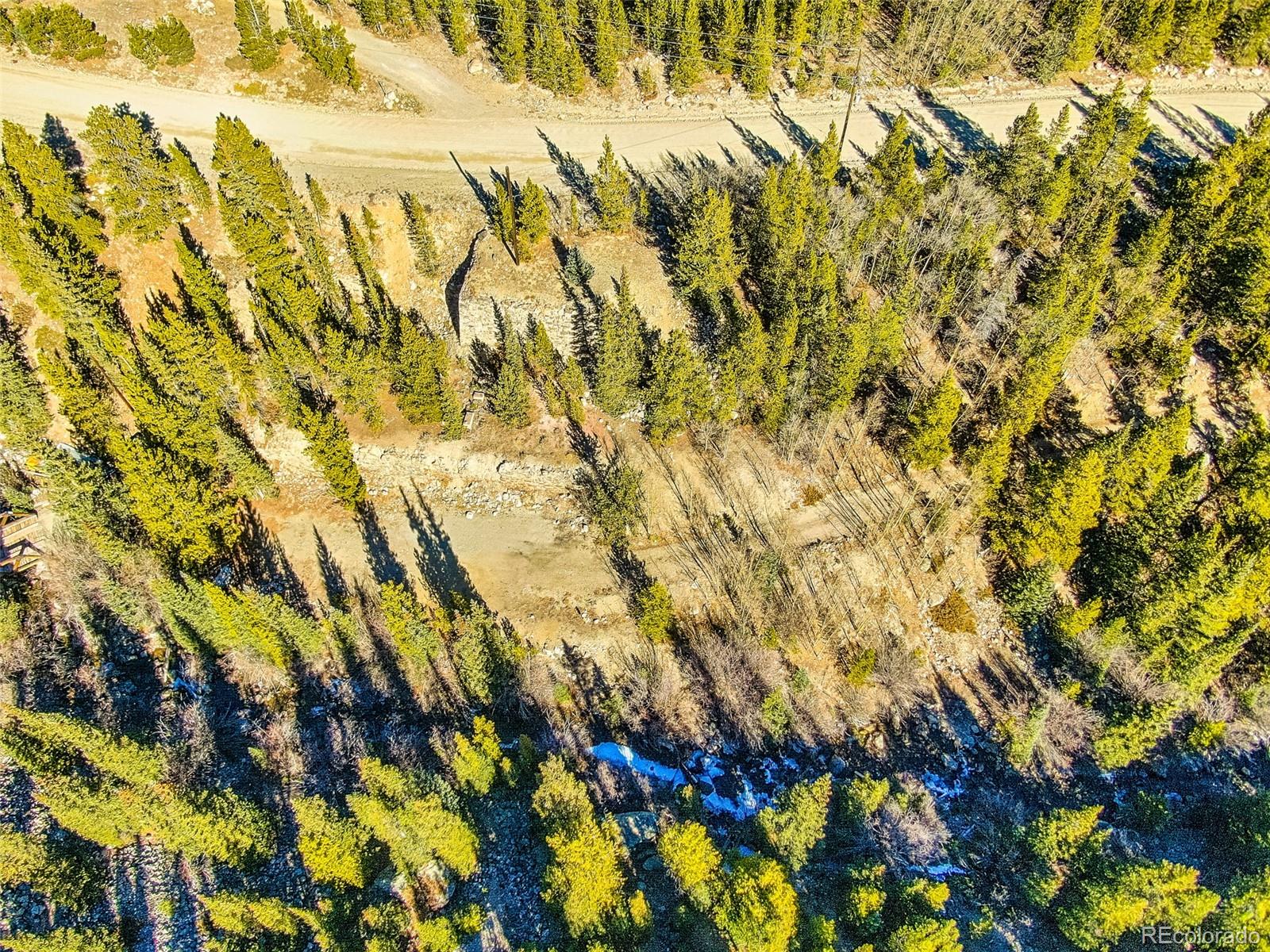 2167 Buckskin Road Alma CO 80420