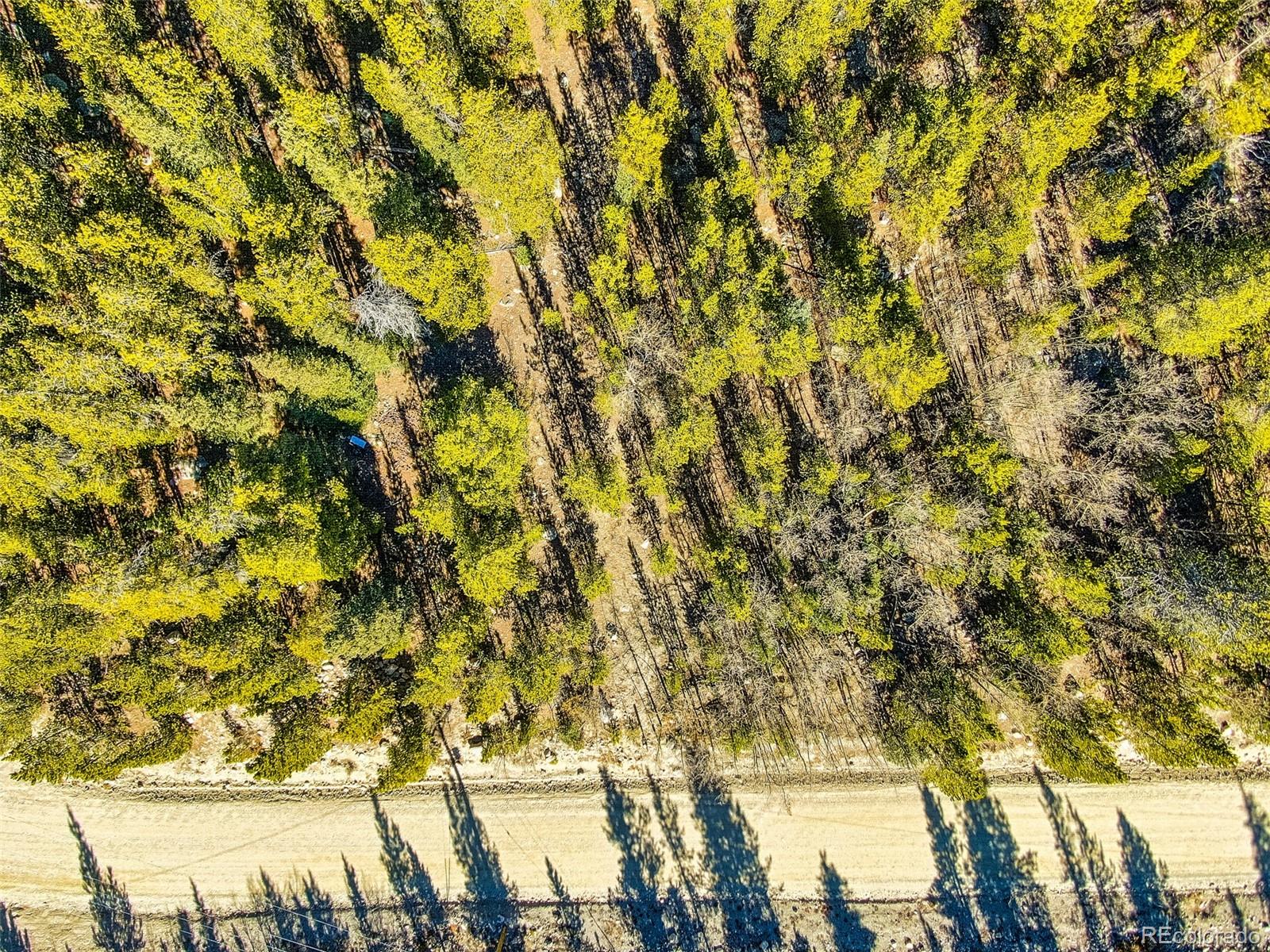 2167 Buckskin Road Alma CO 80420