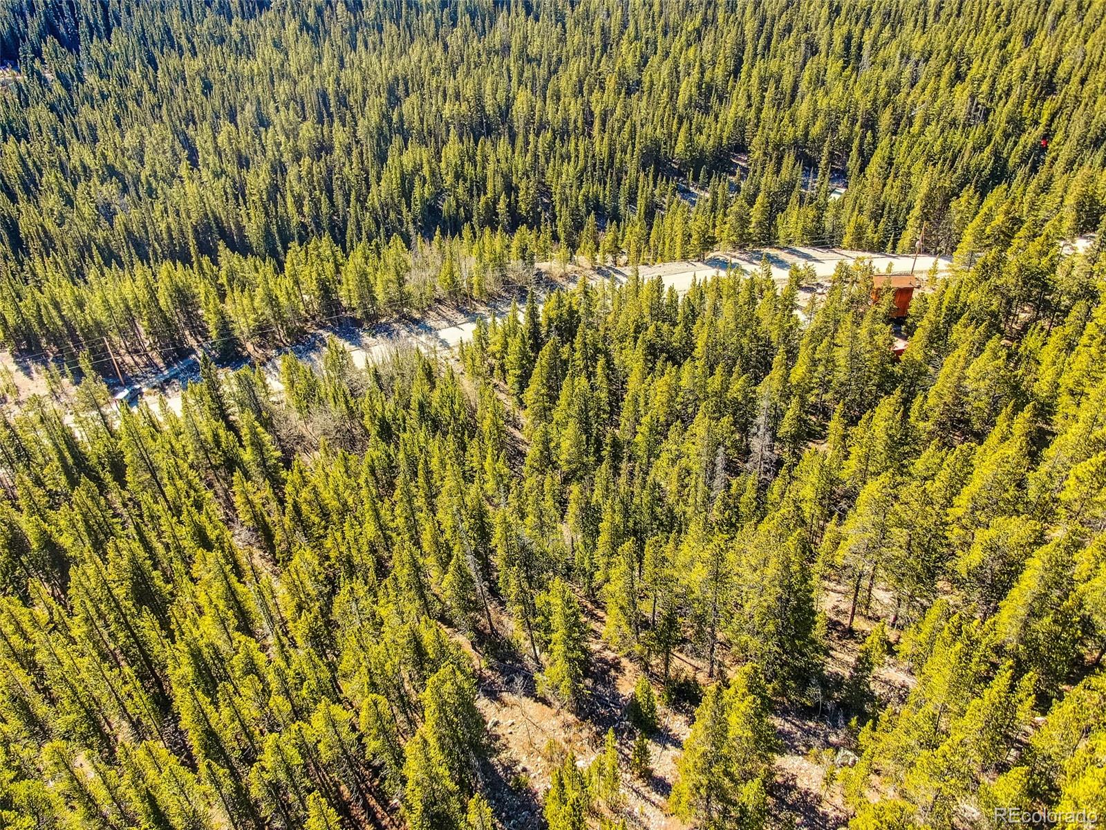 2167 Buckskin Road Alma CO 80420