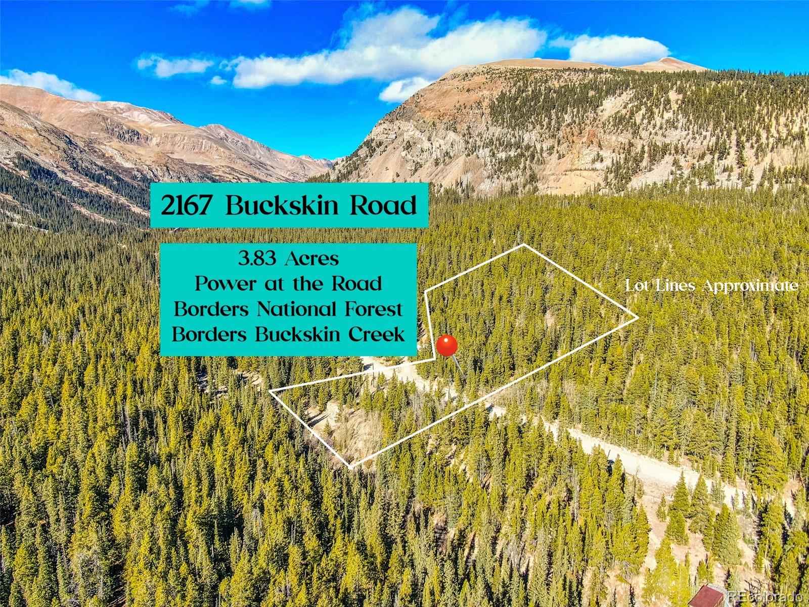 2167 Buckskin Road Alma CO 80420