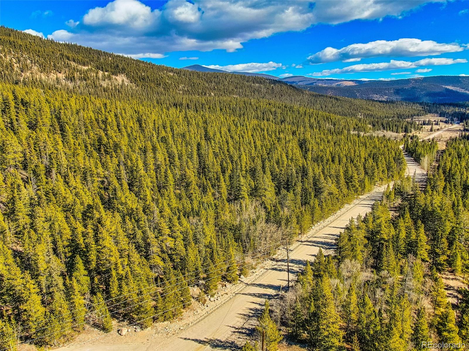 2167 Buckskin Road Alma CO 80420