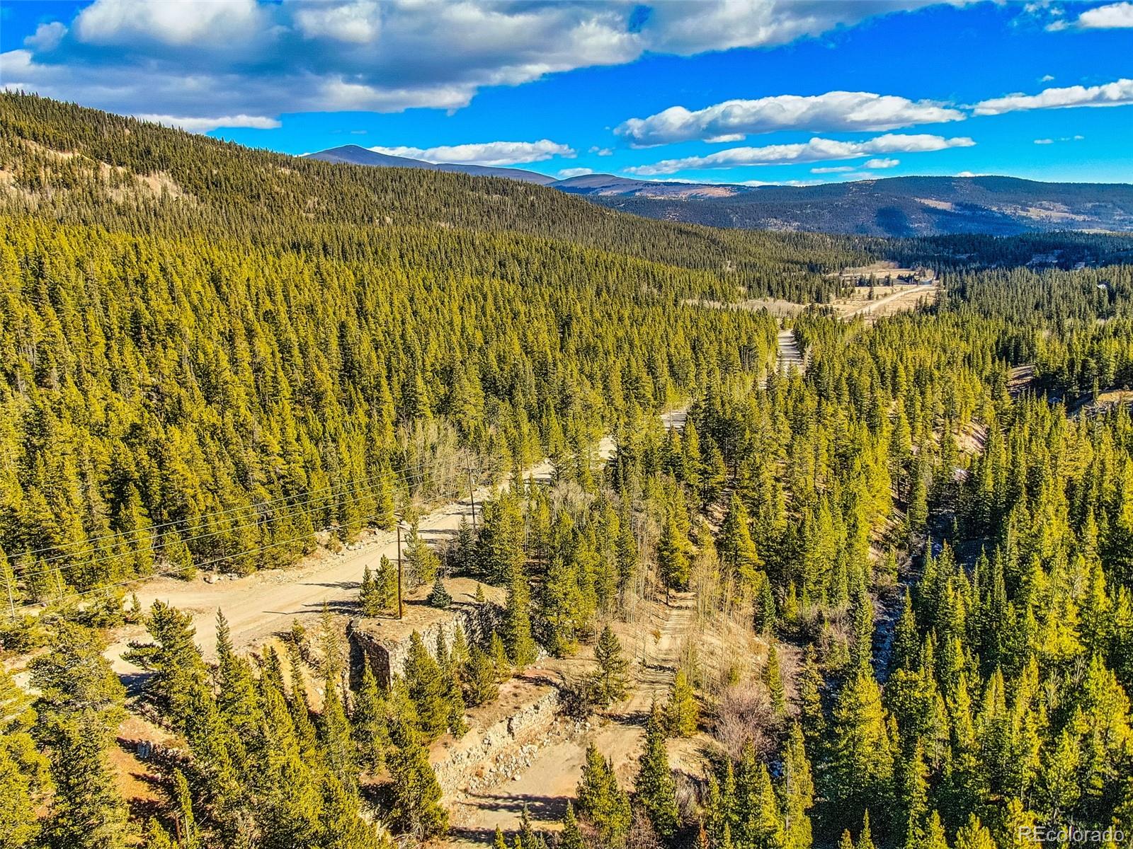2167 Buckskin Road Alma CO 80420