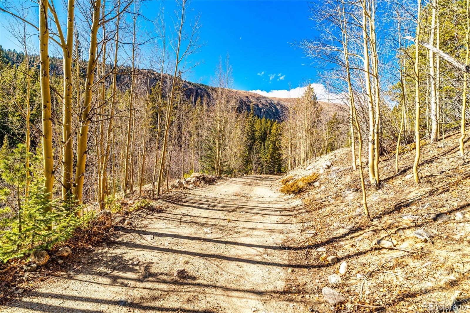 2167 Buckskin Road Alma CO 80420