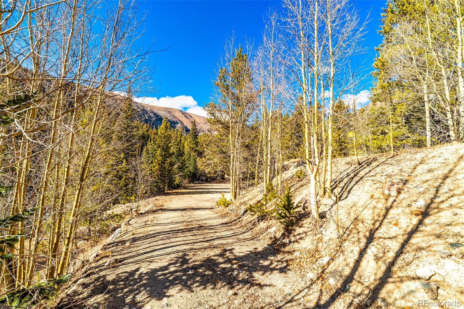 2167 Buckskin Road Alma CO 80420