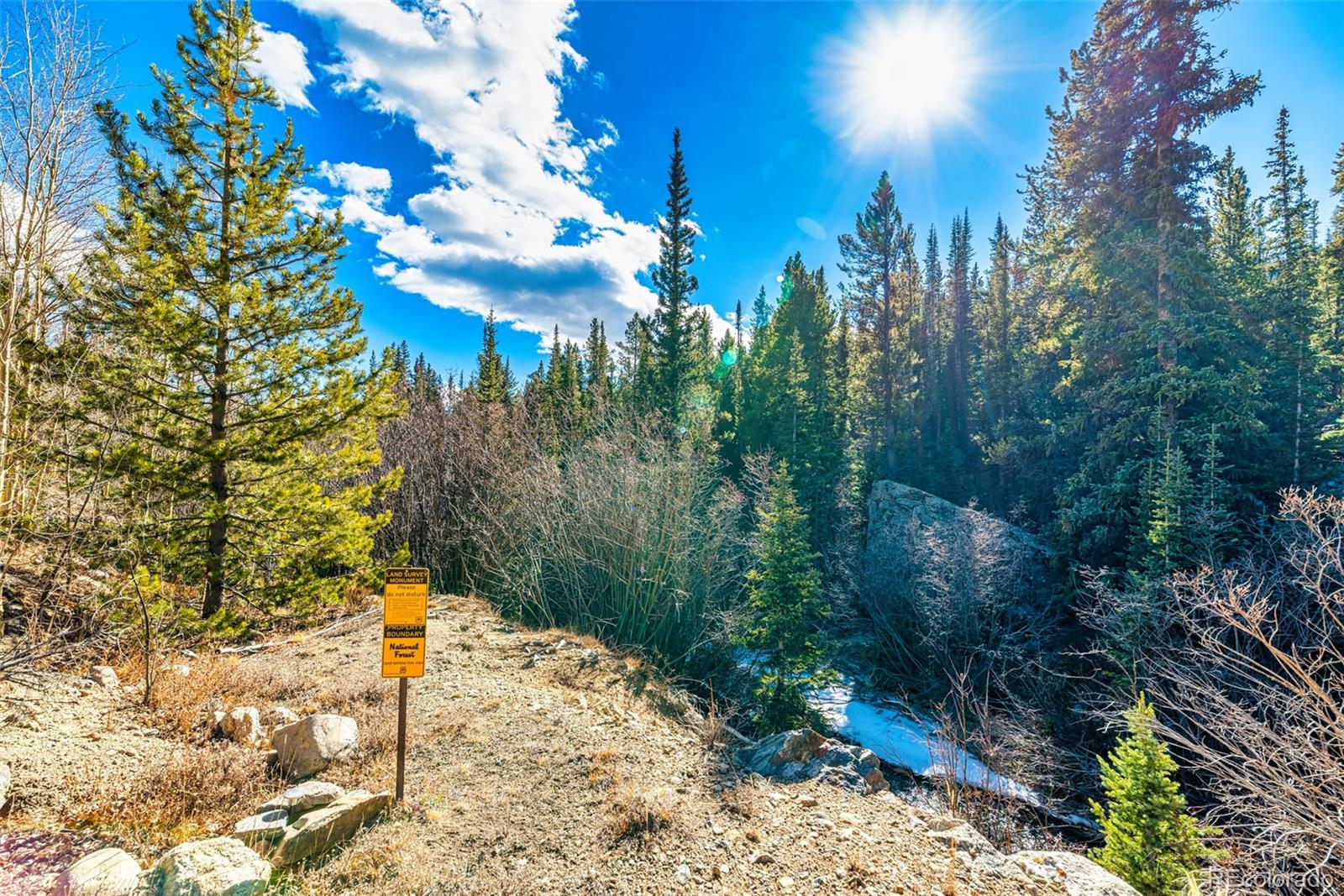 2167 Buckskin Road Alma CO 80420