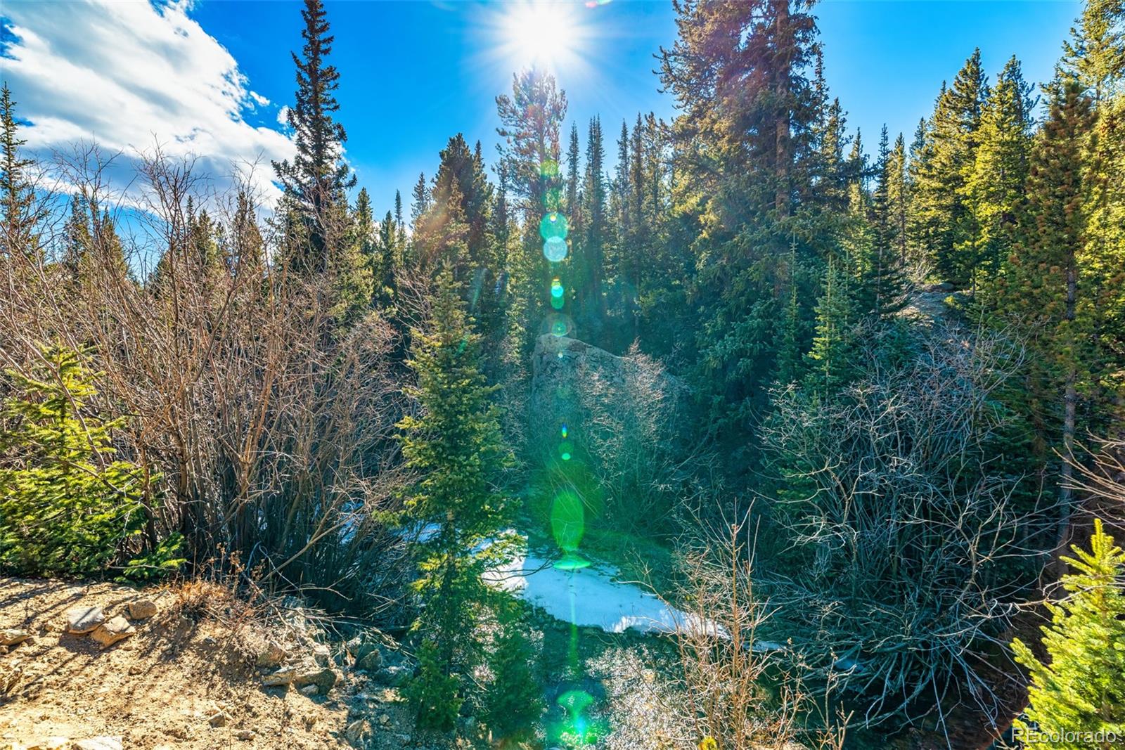 2167 Buckskin Road Alma CO 80420