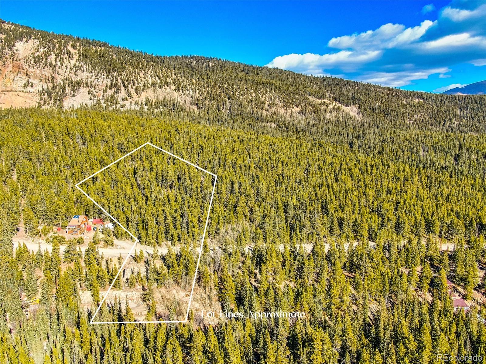 2167 Buckskin Road Alma CO 80420