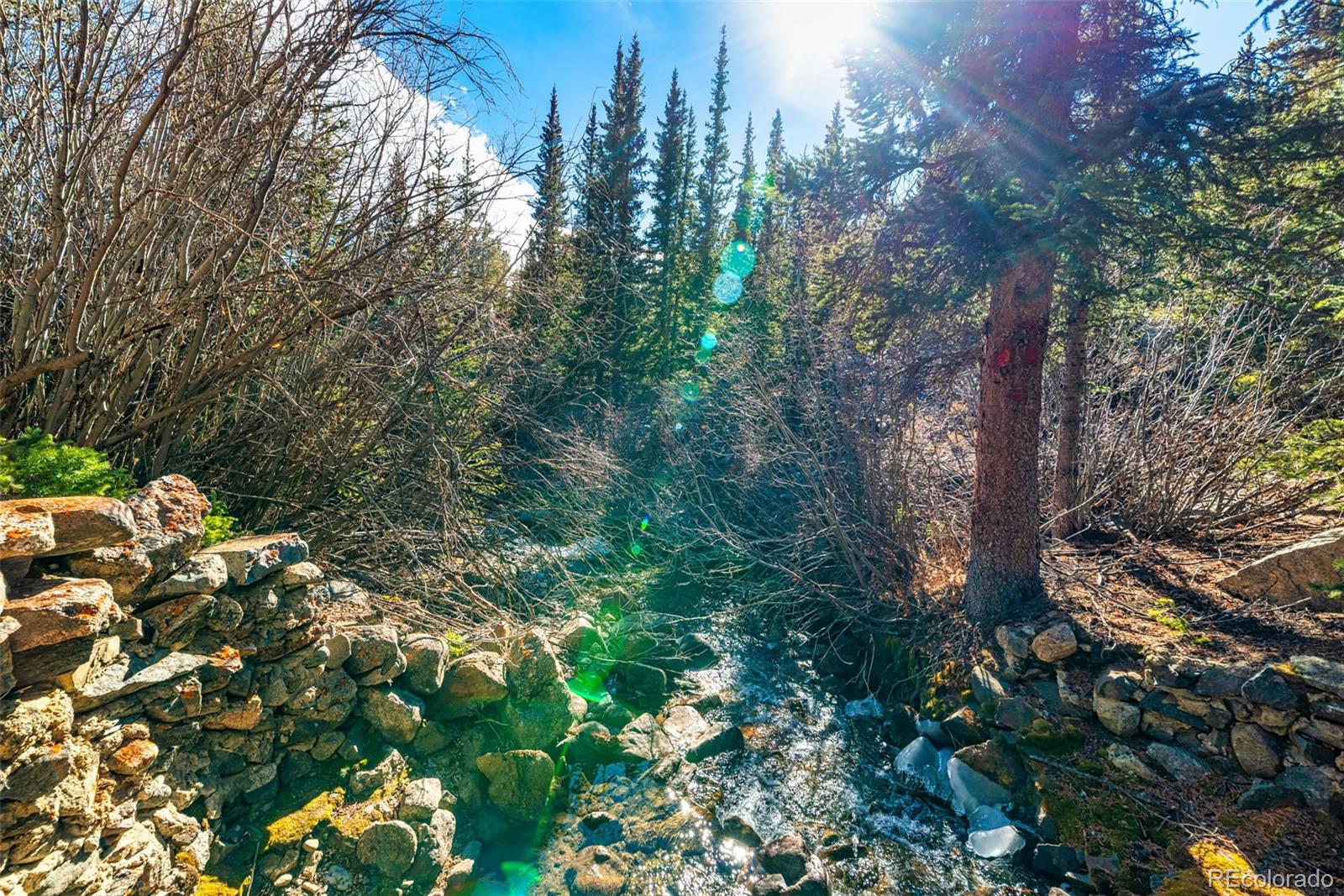2167 Buckskin Road Alma CO 80420