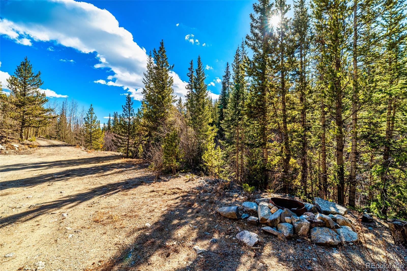 2167 Buckskin Road Alma CO 80420