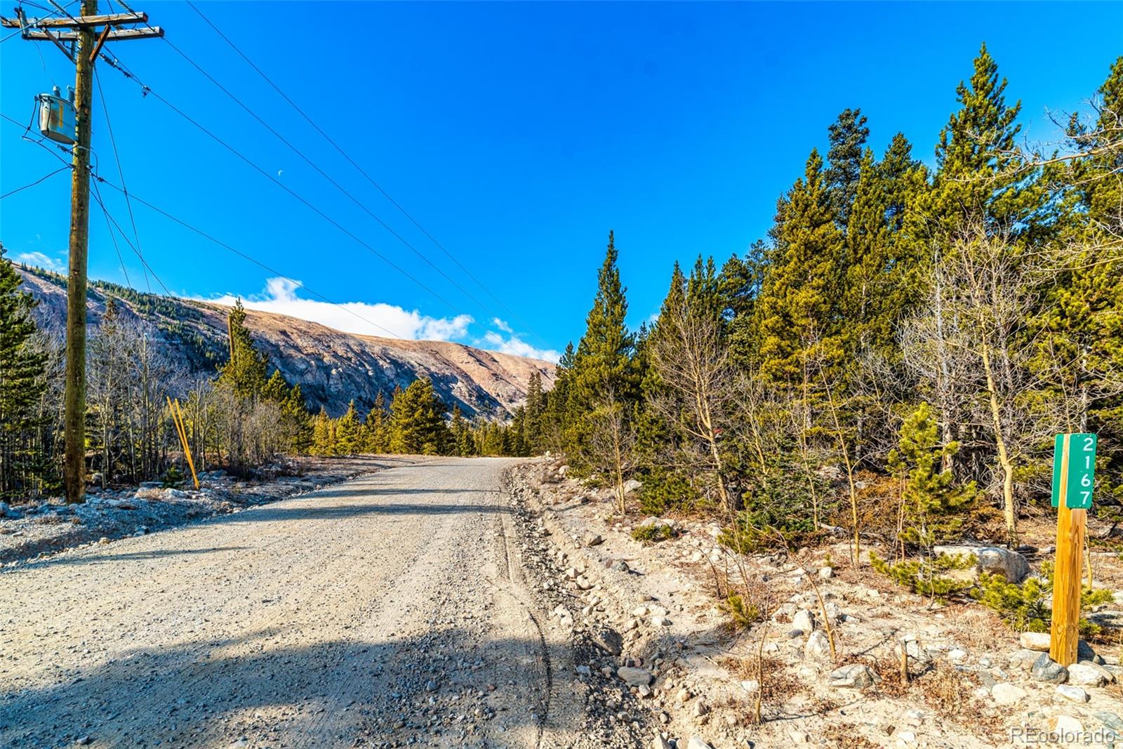 2167 Buckskin Road Alma CO 80420