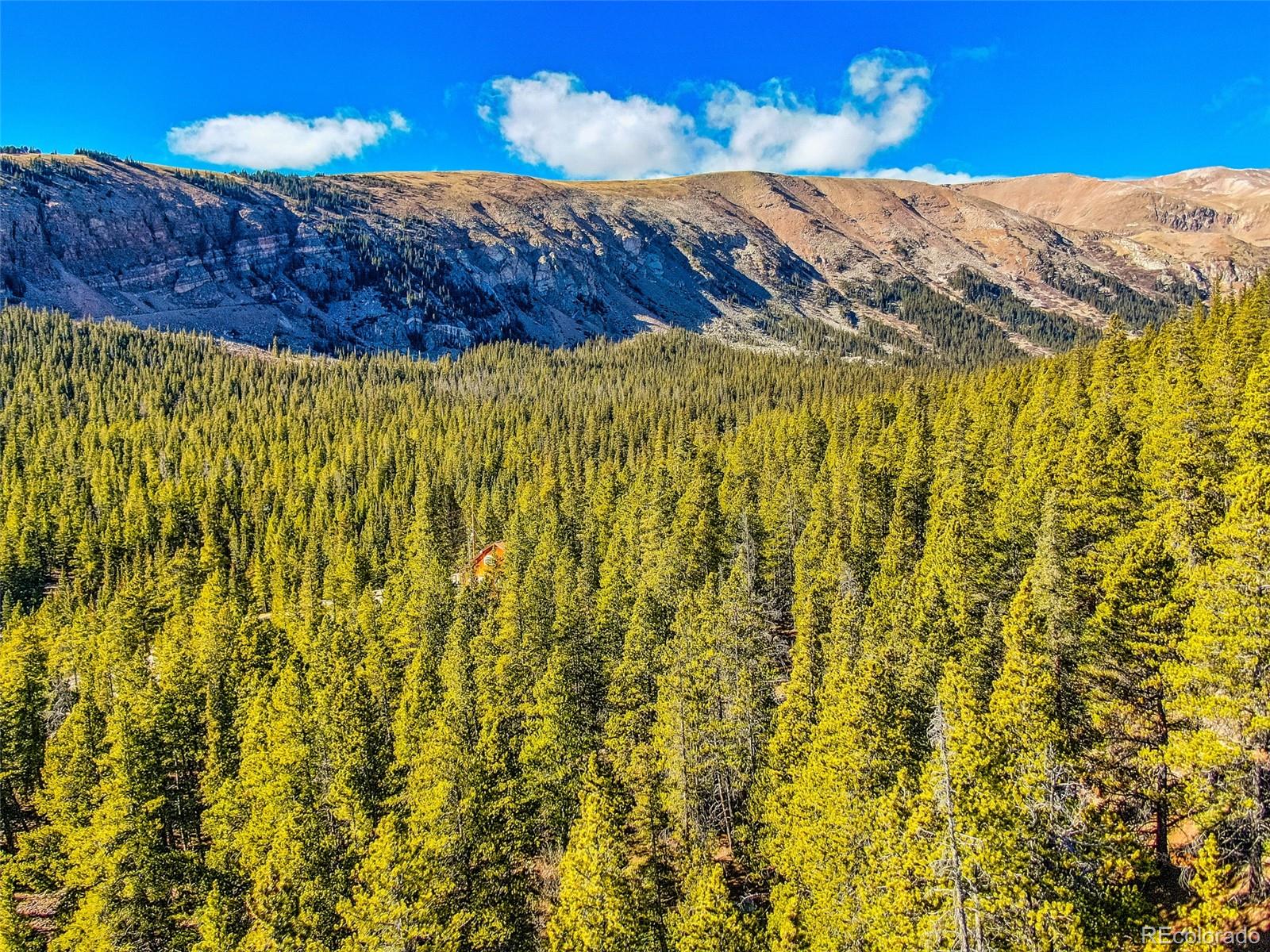2167 Buckskin Road Alma CO 80420
