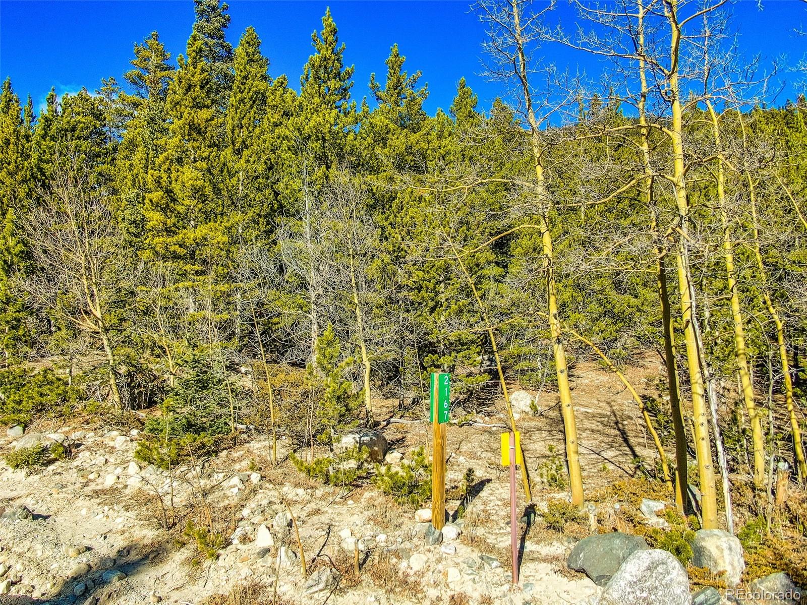 2167 Buckskin Road Alma CO 80420