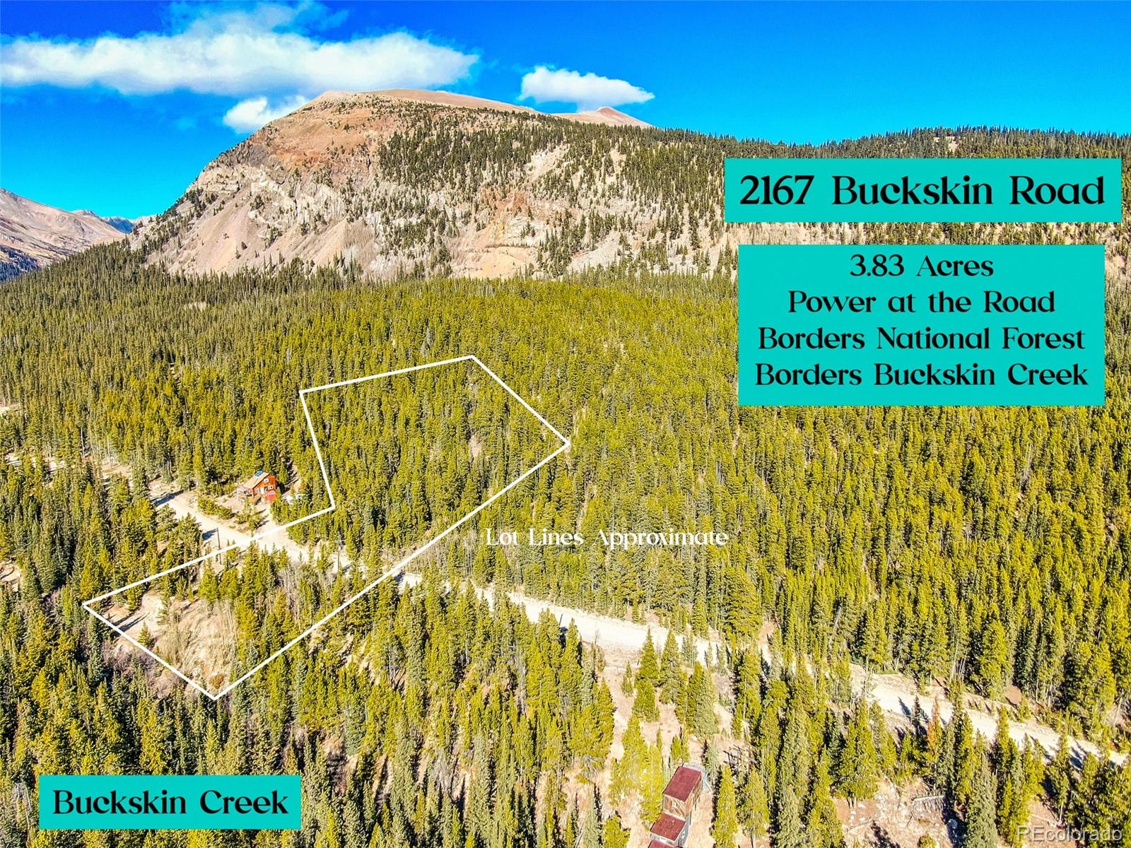 2167 Buckskin Road Alma CO 80420