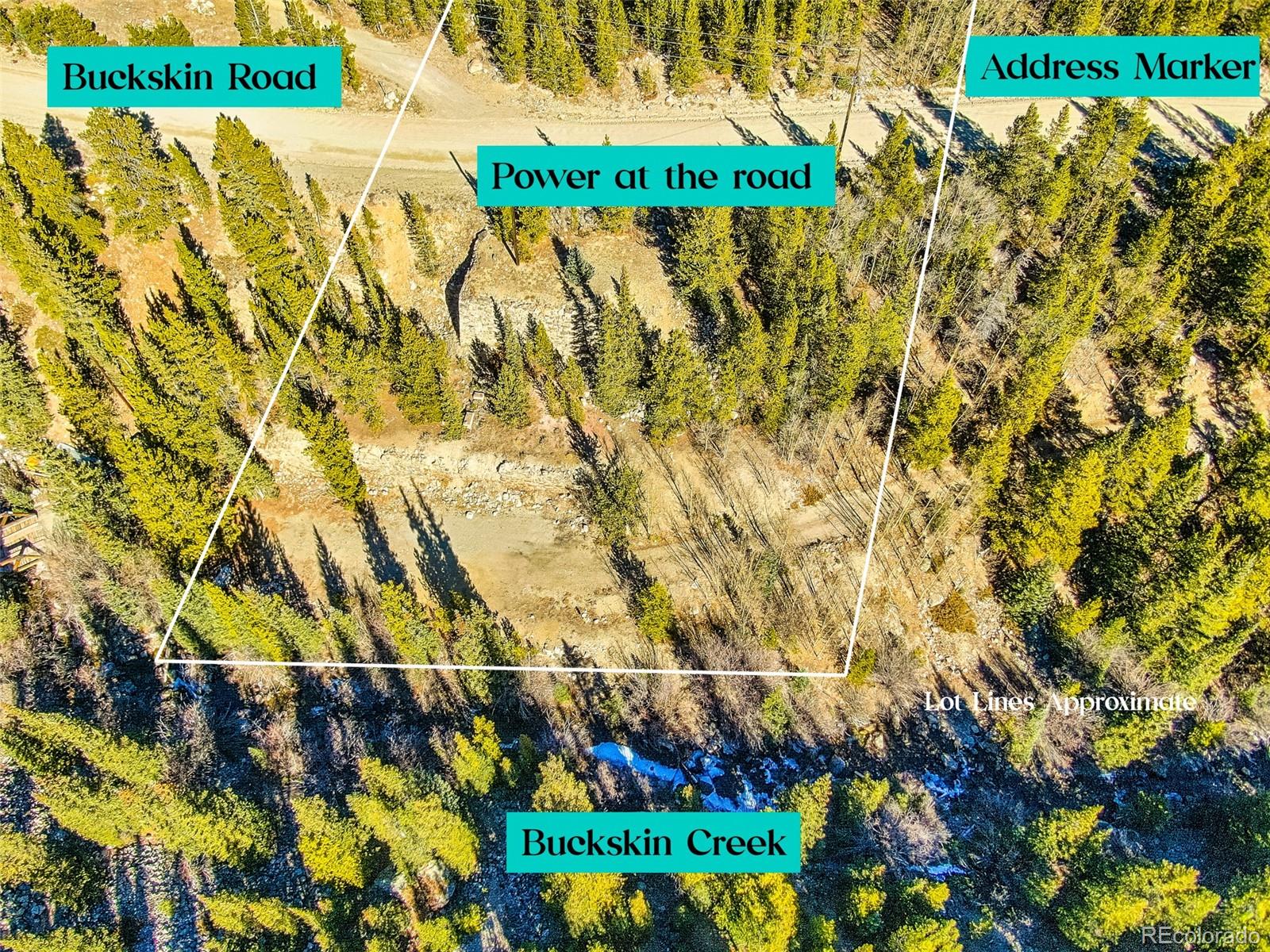 2167 Buckskin Road Alma CO 80420
