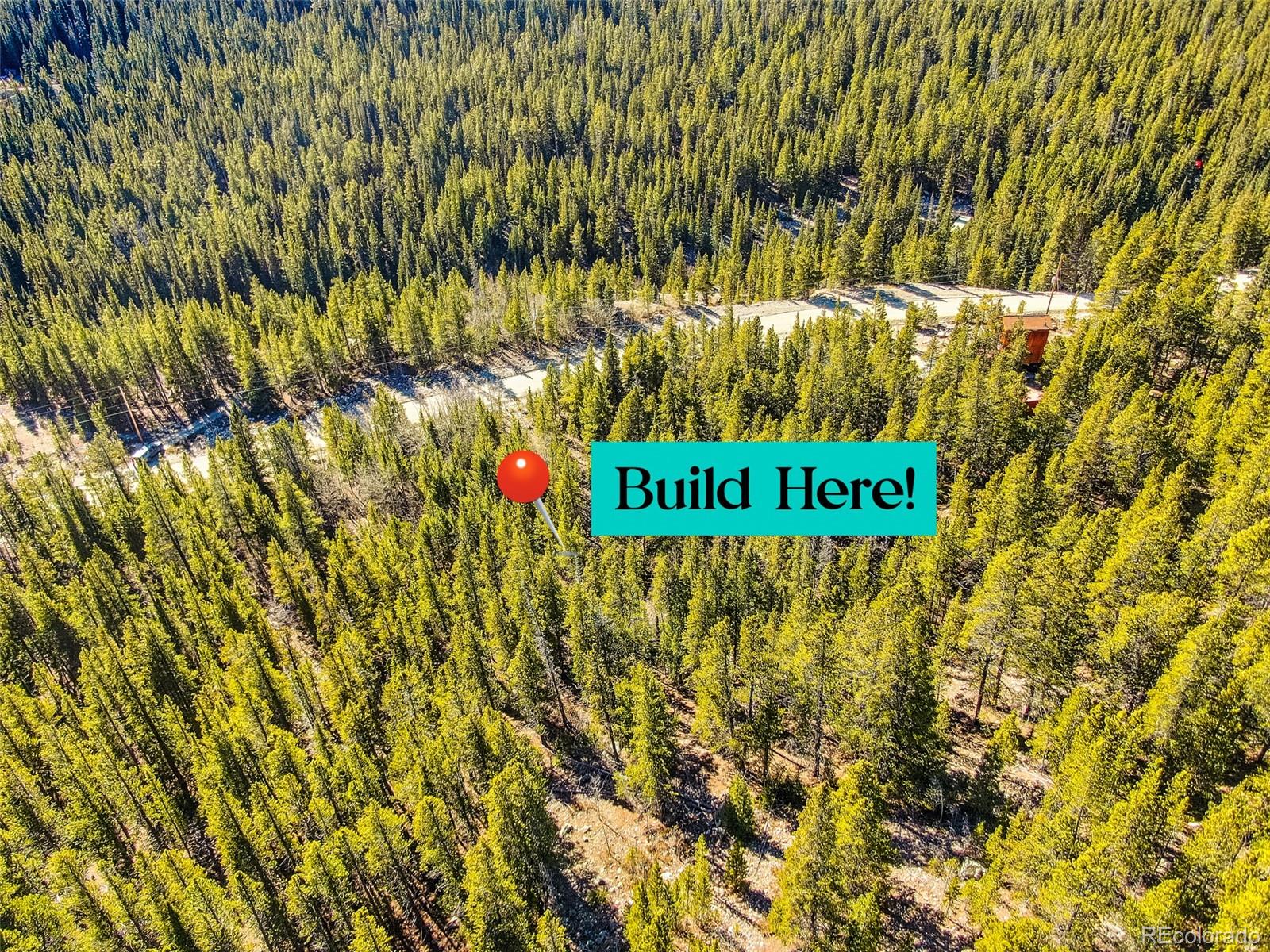 2167 Buckskin Road Alma CO 80420