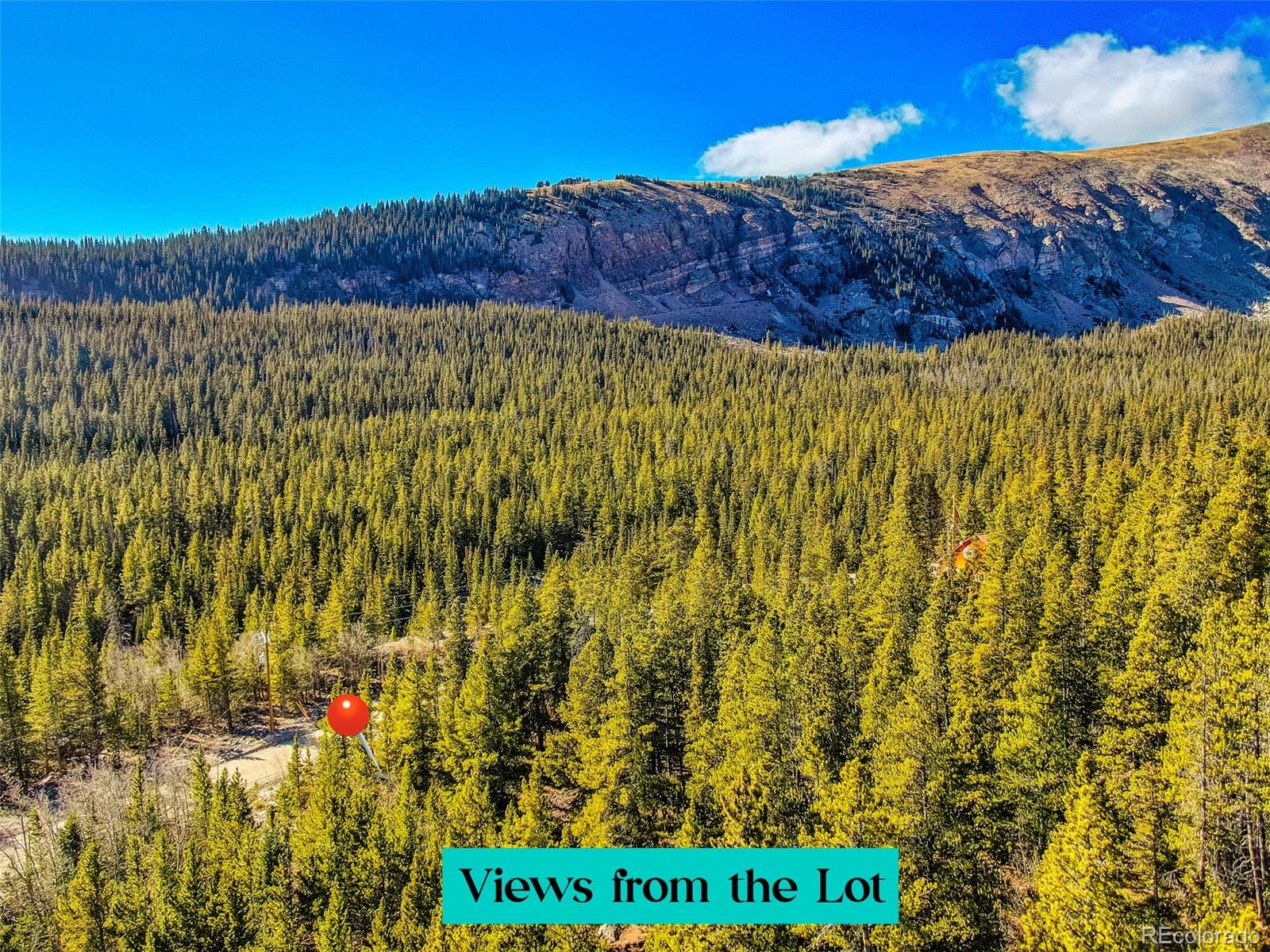 2167 Buckskin Road Alma CO 80420