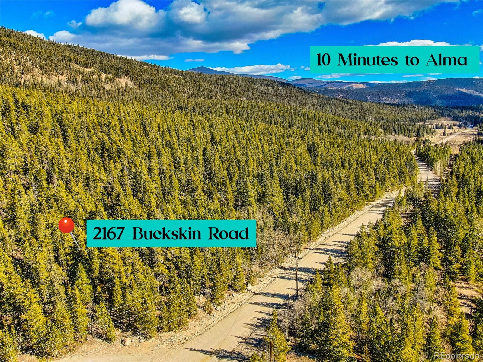 2167 Buckskin Road Alma CO 80420