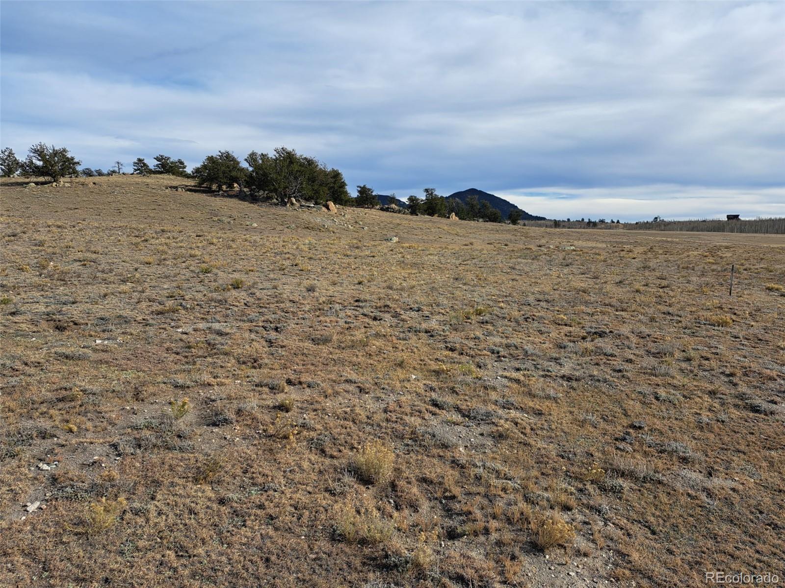 1282 Ute Trace Hartsel CO 80449