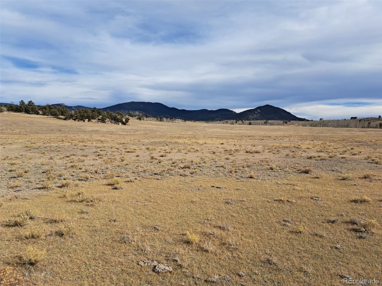 1282 Ute Trace Hartsel CO 80449