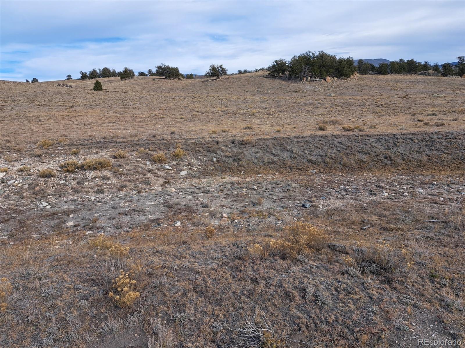 1282 Ute Trace Hartsel CO 80449