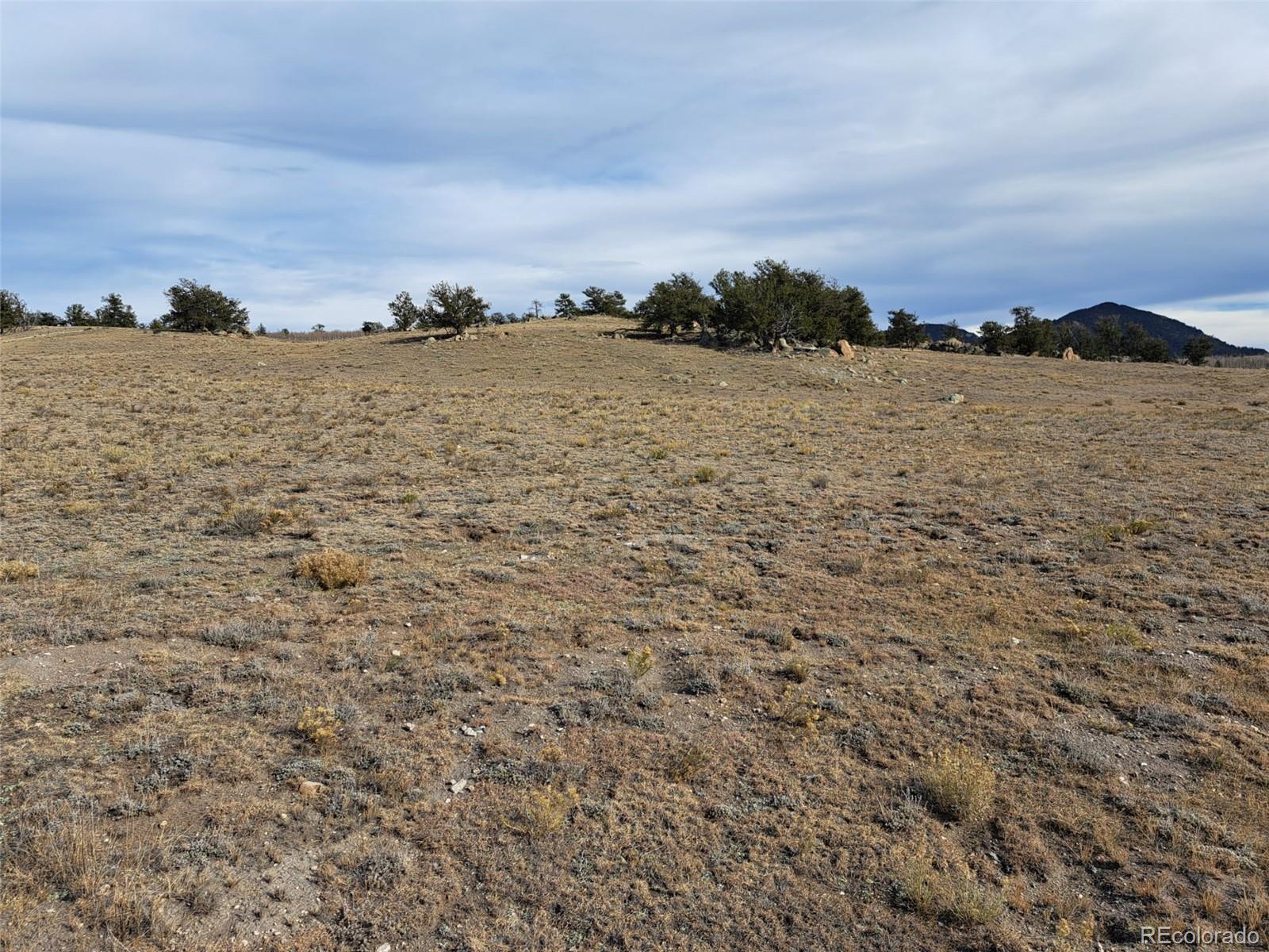 1282 Ute Trace Hartsel CO 80449