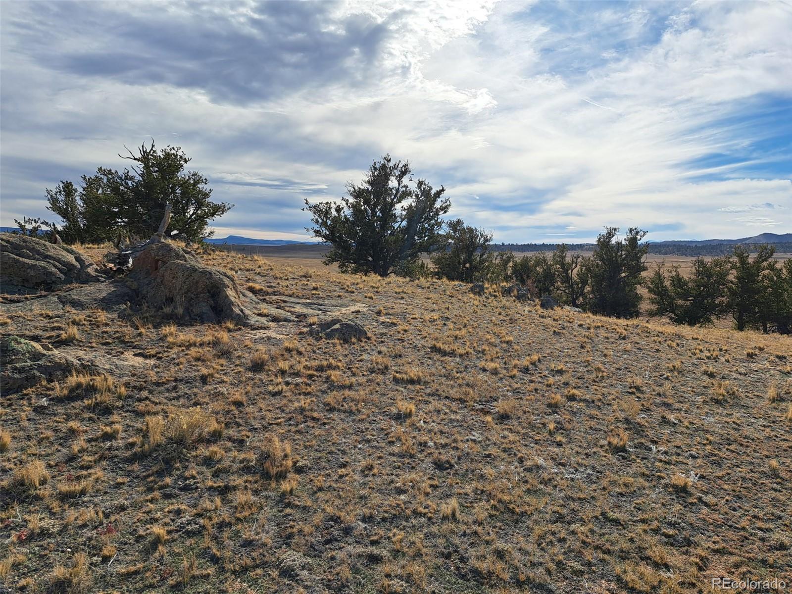 1282 Ute Trace Hartsel CO 80449